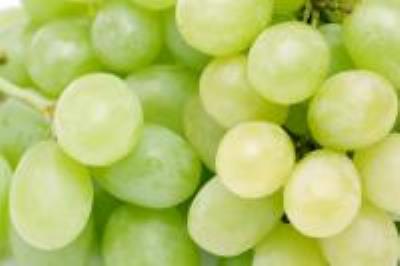 Pas d\'image pour cet article